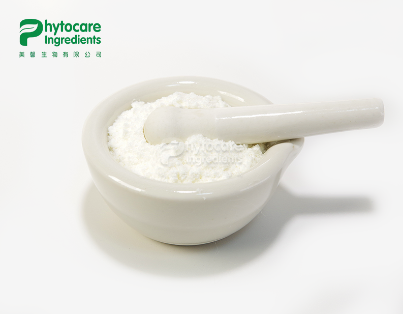 Coconut Oil Powder